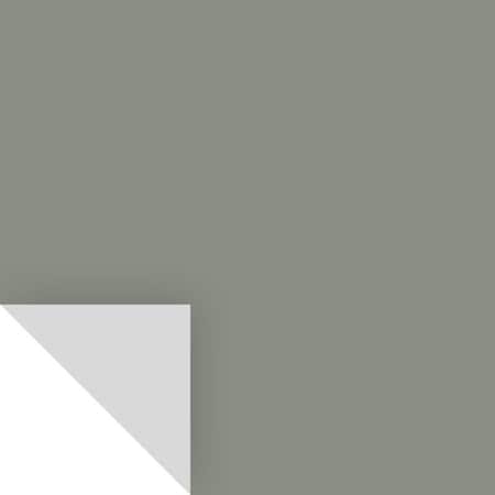 Samplize Samplize Benjamin Moore Carolina Gull Peel & Stick Color Sample 2138-40 BM213840